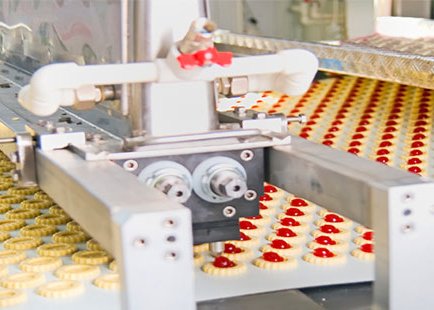 Food Processing