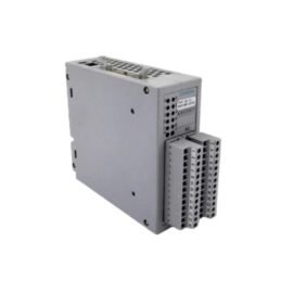 Siemens 6DD1681-0FG0 SIMADYN D Converter/Interface Module