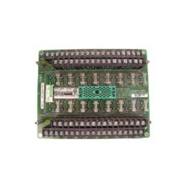 Triconex 2658 74000110-010 Relay Output Module