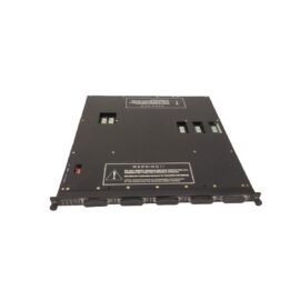 Triconex 4119A Enhanced Intelligent Module
