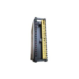 Schneider DBS 001 Digital Backup Controller – Reliable System Protection and Recovery