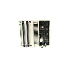 Schneider 170AAO12000 Analog Output Module